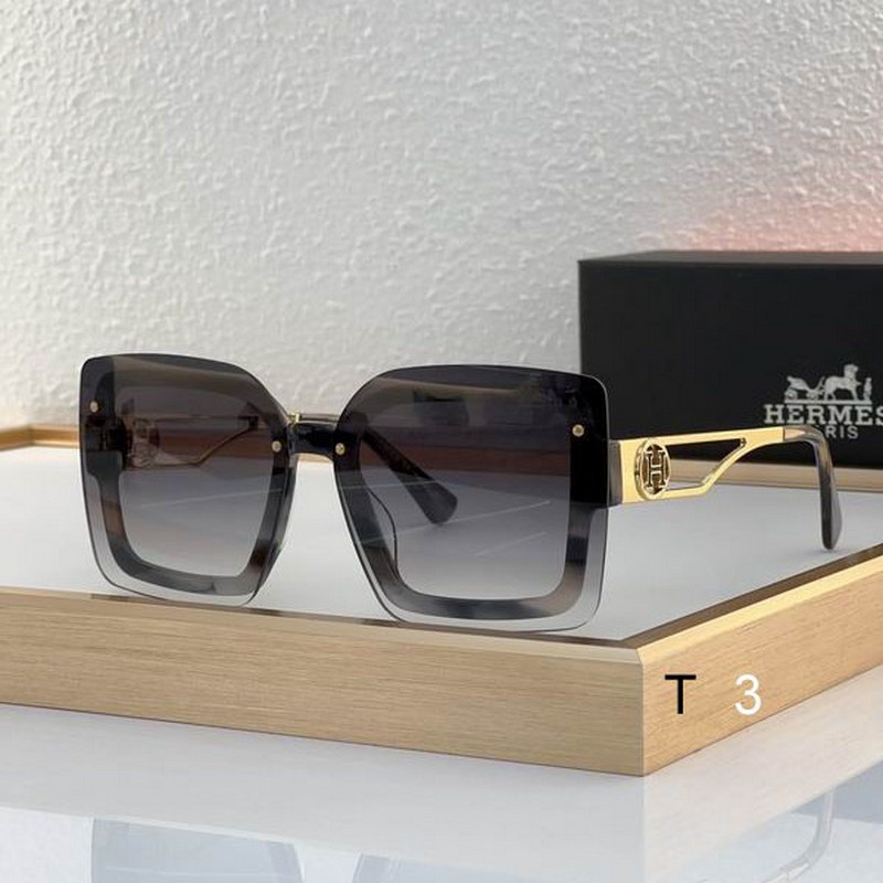 Hermes Sunglasses 31